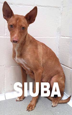 15977719_1243595022375061_1928551973457763513_n