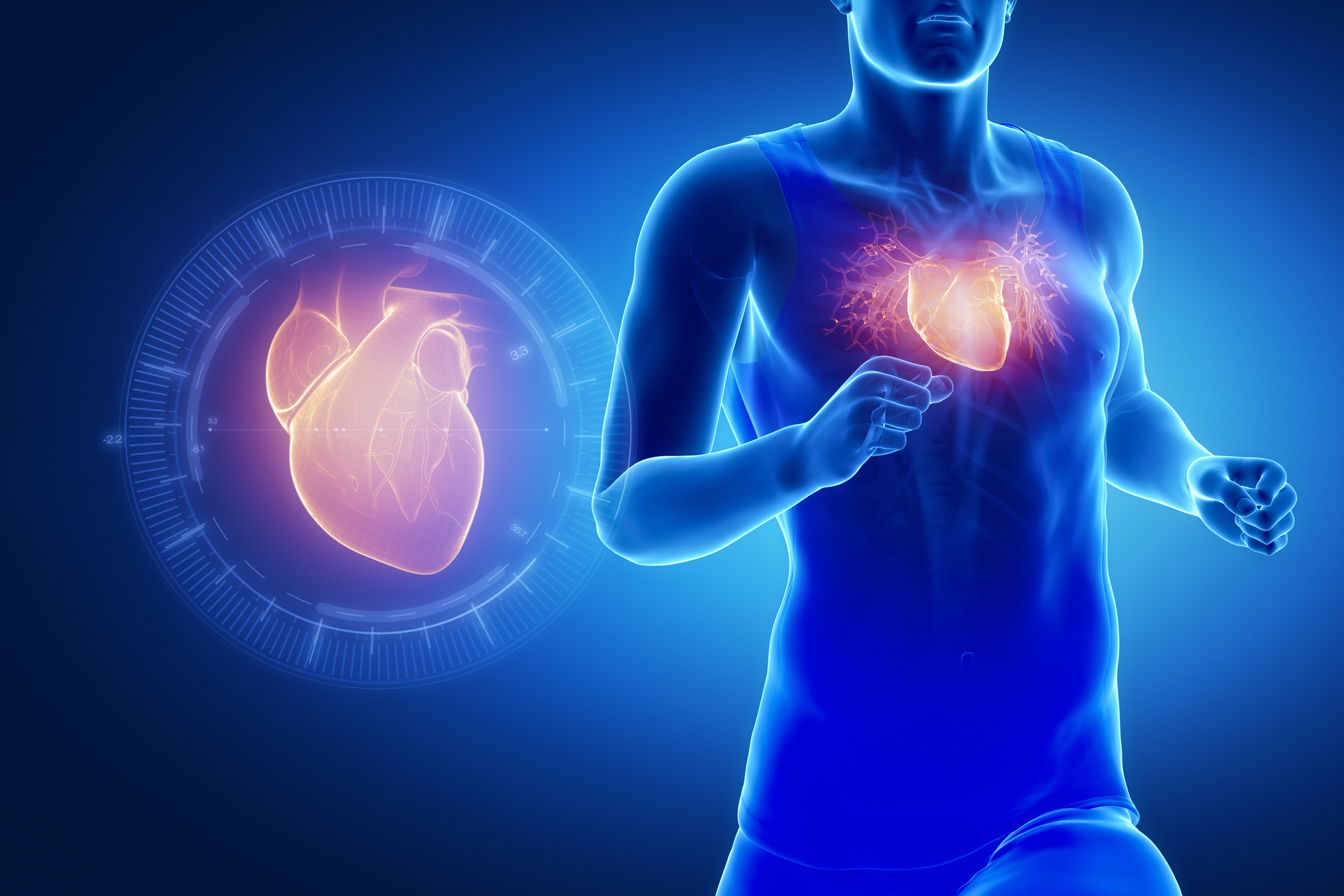 Тренированность сердца. Сердце спортсмена. Влияние спорта на сердечно-сосудистую систему. Сердце человека и спортсмена.