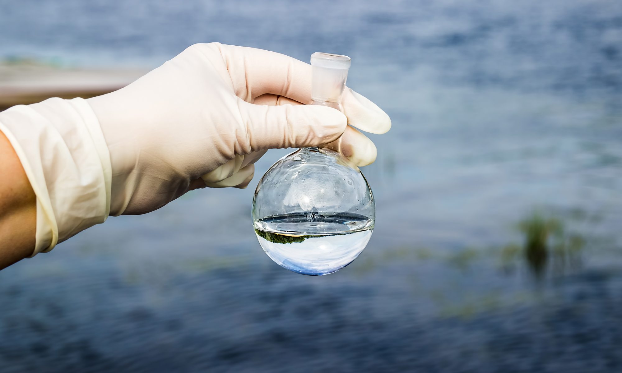 Las bacterias reducen la contaminación plástica en los lagos