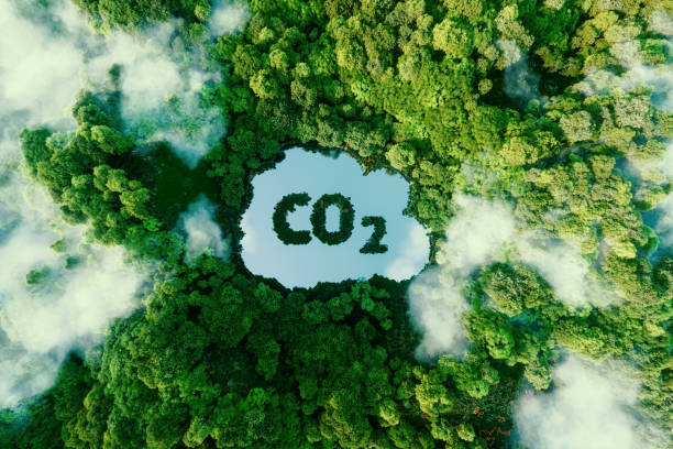 Las emisiones de CO2 siguen a la baja