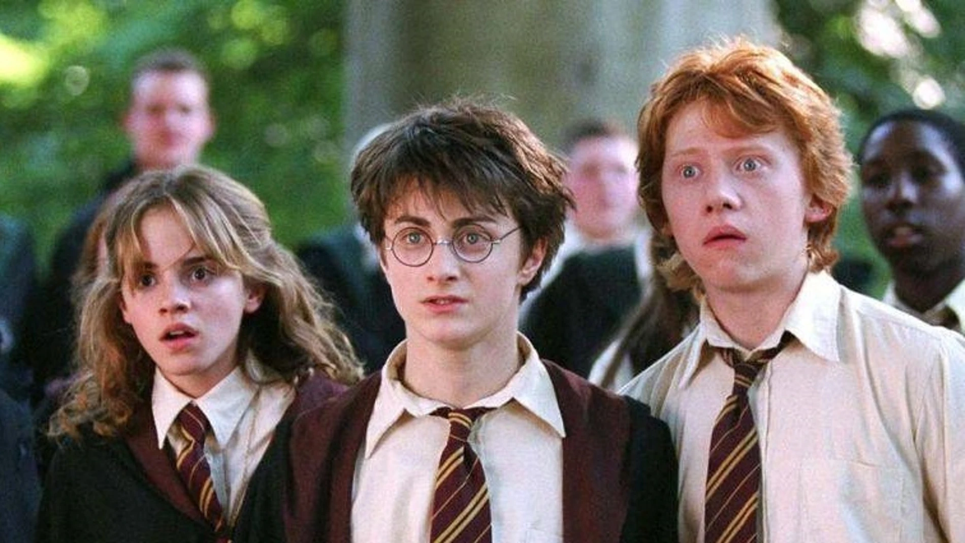 El mundo de Harry Potter podría tener una serie