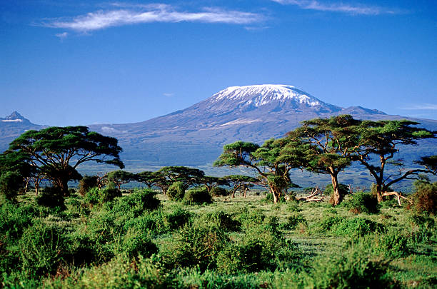 Adiós a las nieves del Kilimanjaro