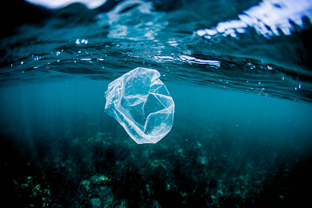 Los plásticos llegan a las profundidades marinas