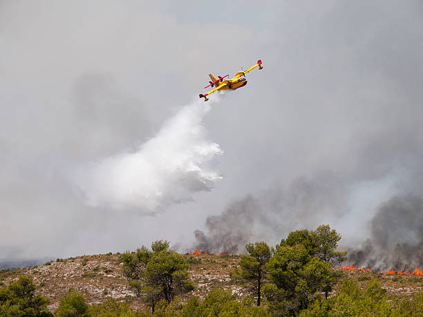 España se incendia este verano un 30% menos