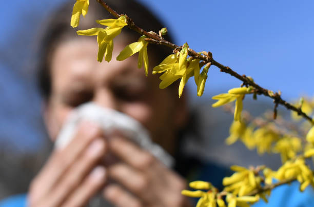 Lluvias y frío podrían convertir la primavera en un reto para alérgicos