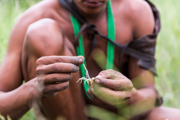 Ni snack ni receta: los insectos entraron en el menú humano por sorpresa