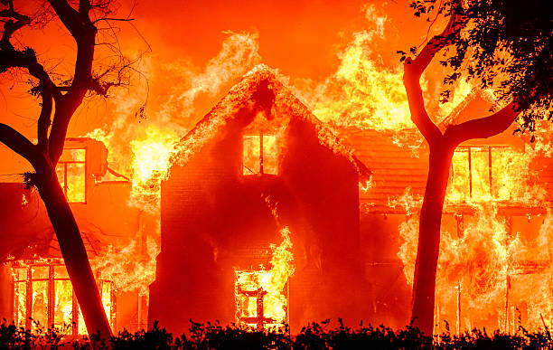 El fuego sale carísimo: 2025 rompe récords económicos mientras arde menos territorio