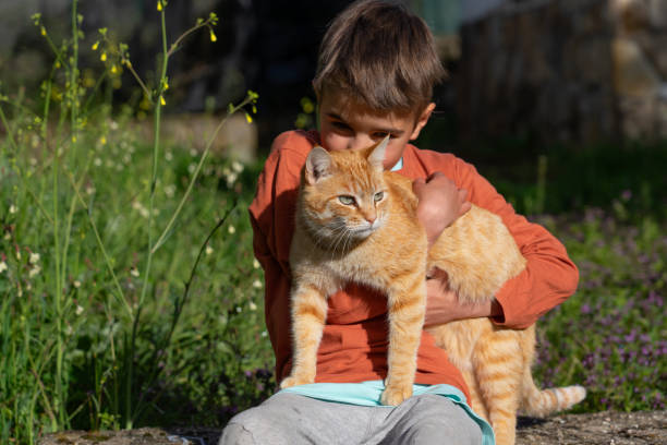 El hallazgo que cambia lo que creíamos sobre los gatos y el asma infantil