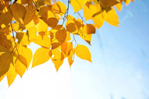 España se prepara para un otoño más cálido